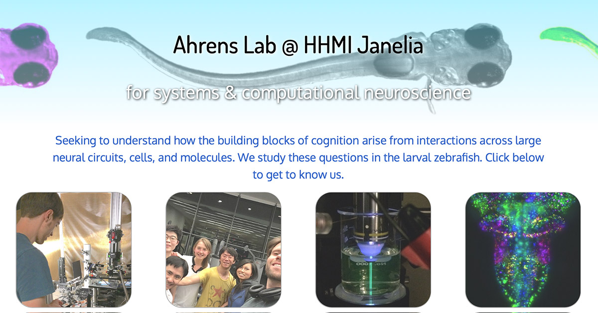 Misha Ahrens Lab Janelia Homepage